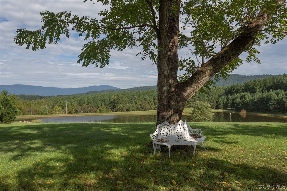 3966 Garth Road Crozet, VA 22932 - Photo 35 of 44 Gallery Image 35