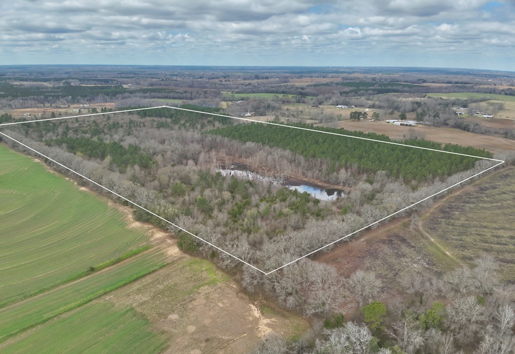 86-acres New Hinson Road Slocomb, AL 36375 - Photo 5 of 15