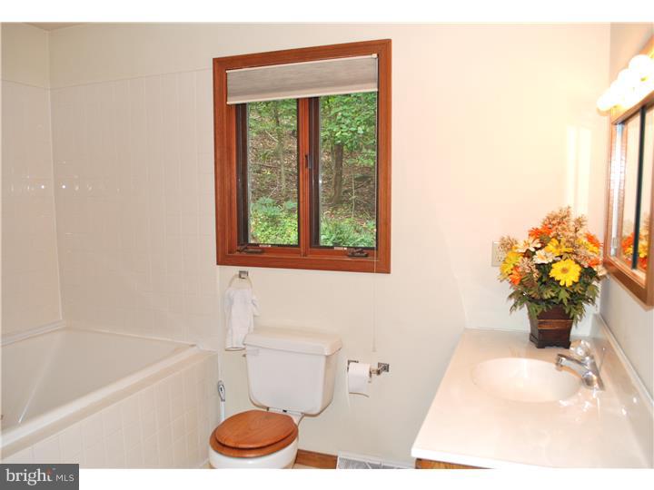 1838 Sawmill Road Spring City, PA 19475 - Photo 11 of 25 Master Bathroom