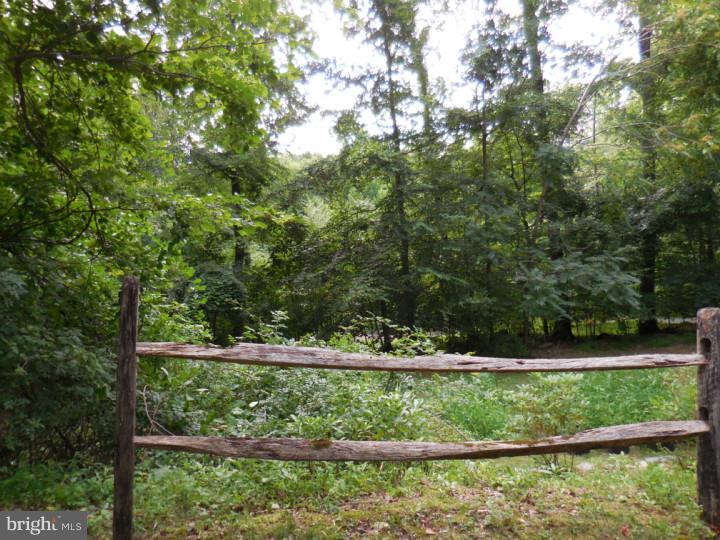 1838 Sawmill Road Spring City, PA 19475 - Photo 24 of 25 Side Yard