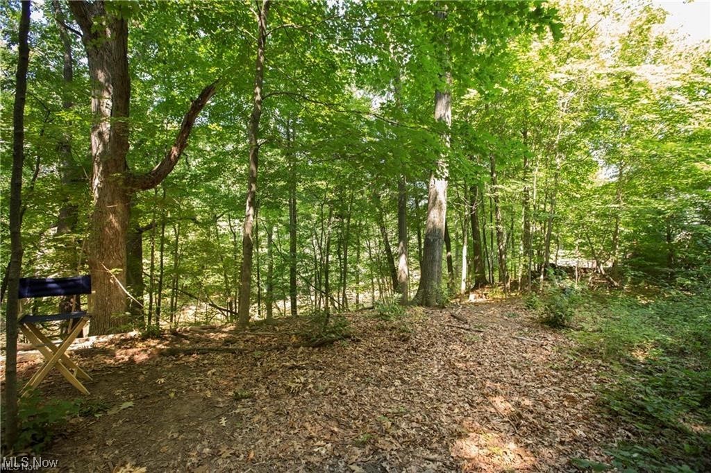 4 Timber Ridge Road Grafton, OH 44044 - Photo 10 of 21 Gallery Image 10