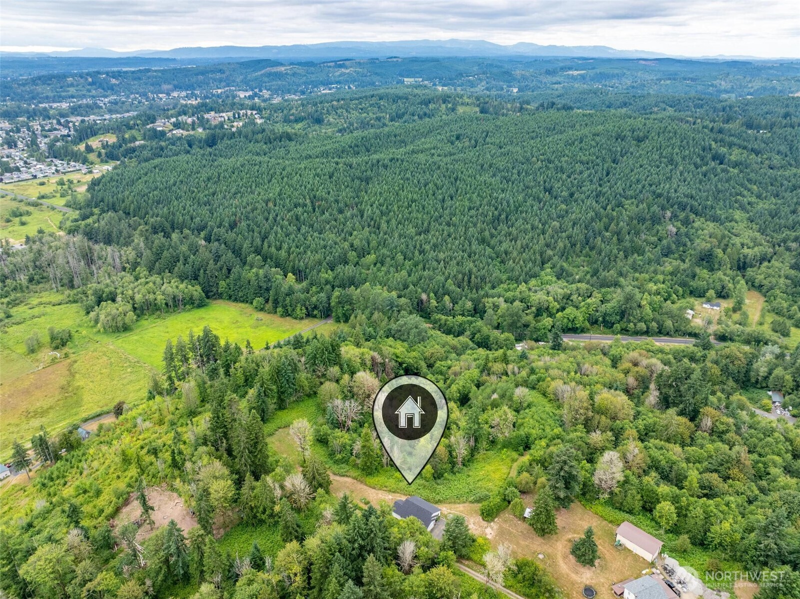 144-38 18 Loop Road Centralia, WA 98531 - Photo 34 of 39 a view of a lush green forest with trees and some houses