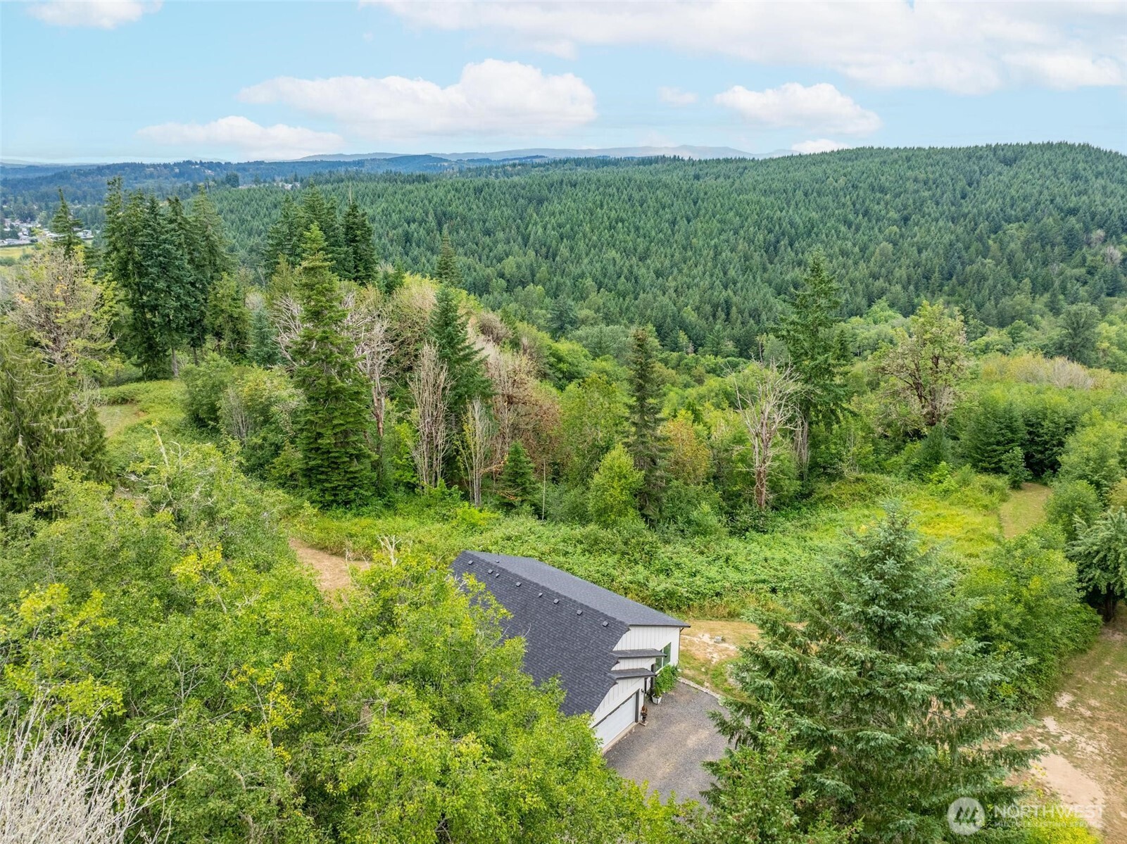 144-38 18 Loop Road Centralia, WA 98531 - Photo 36 of 39 a view of a green yard with large trees