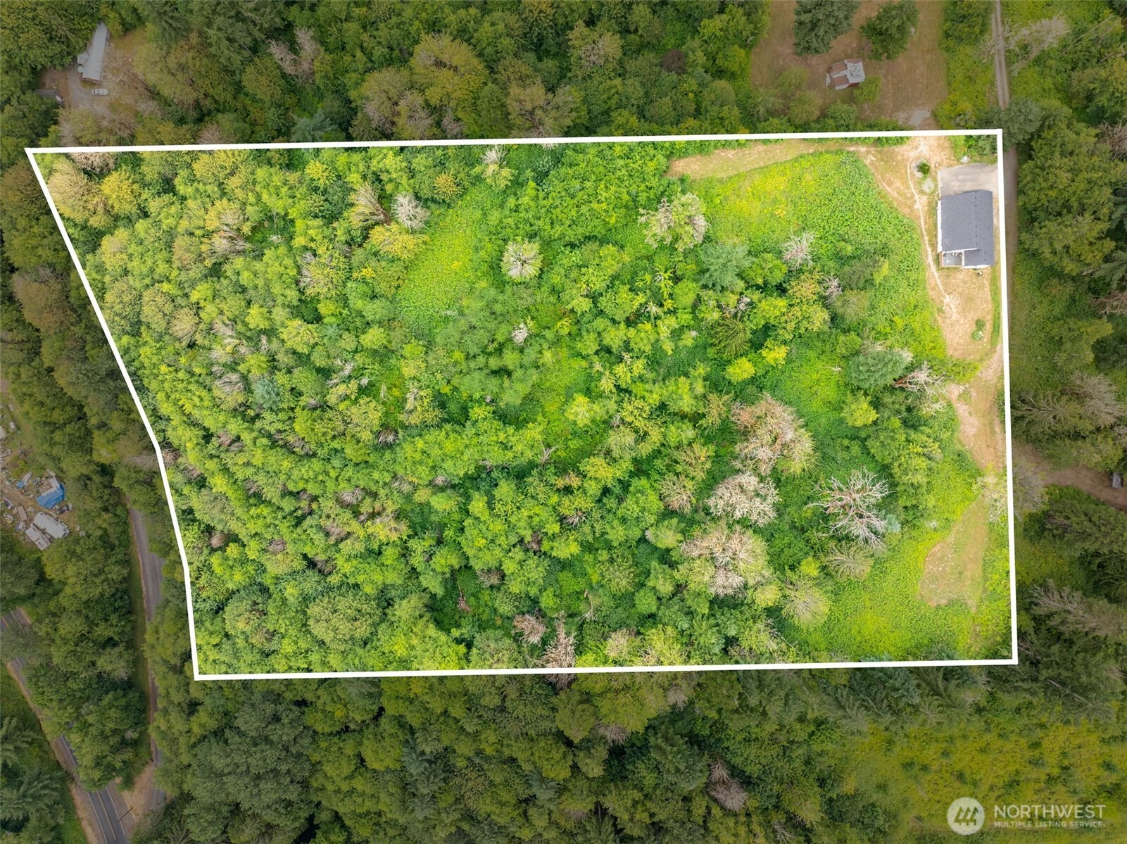 144-38 18 Loop Road Centralia, WA 98531 - Photo 37 of 39 a view of a yard