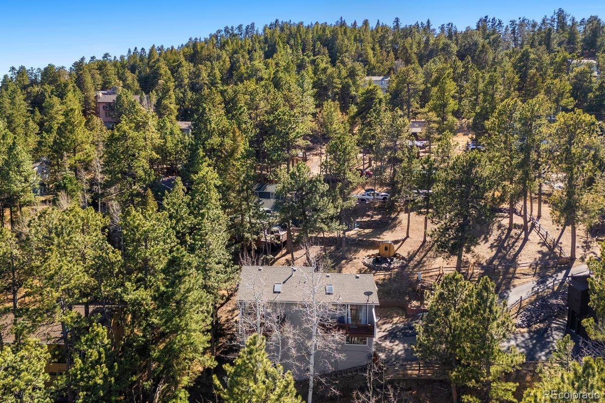 29895 Spruce Road Evergreen, CO 80439 - Photo 43 of 44 Gallery Image 43