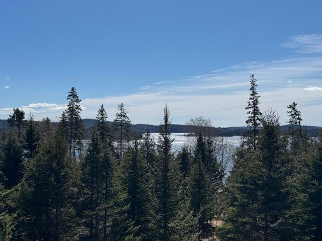 M17-l15 Battle Avenue Castine, ME 04421 - Photo 8 of 22