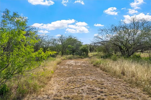 a view of an ocean and beach