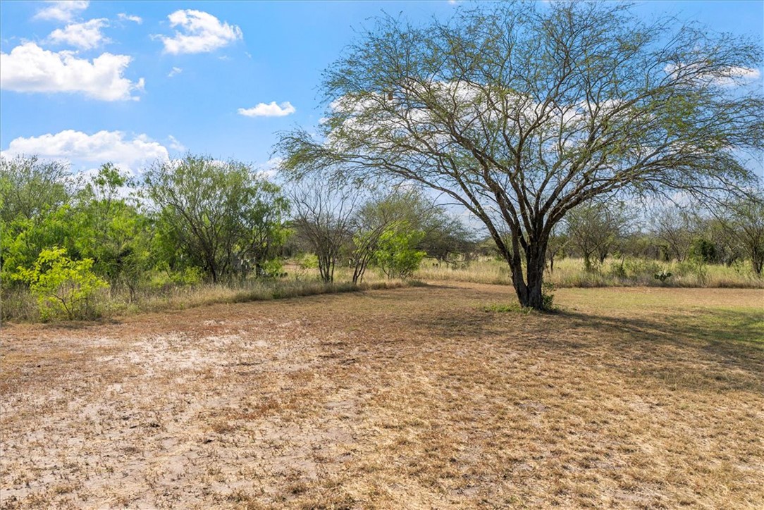 226 Private Road Alice, TX 78332 - Photo 35 of 40 a view of dirt yard with a tree