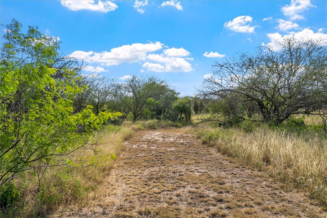 226 Private Road Alice, TX 78332 - Photo 36 of 40 a view of a lake with houses
