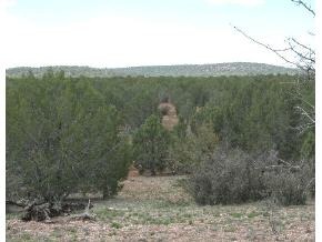 11 South Bullock Road Ash Fork, AZ 86320 - Photo 1 of 1 Primary Photo