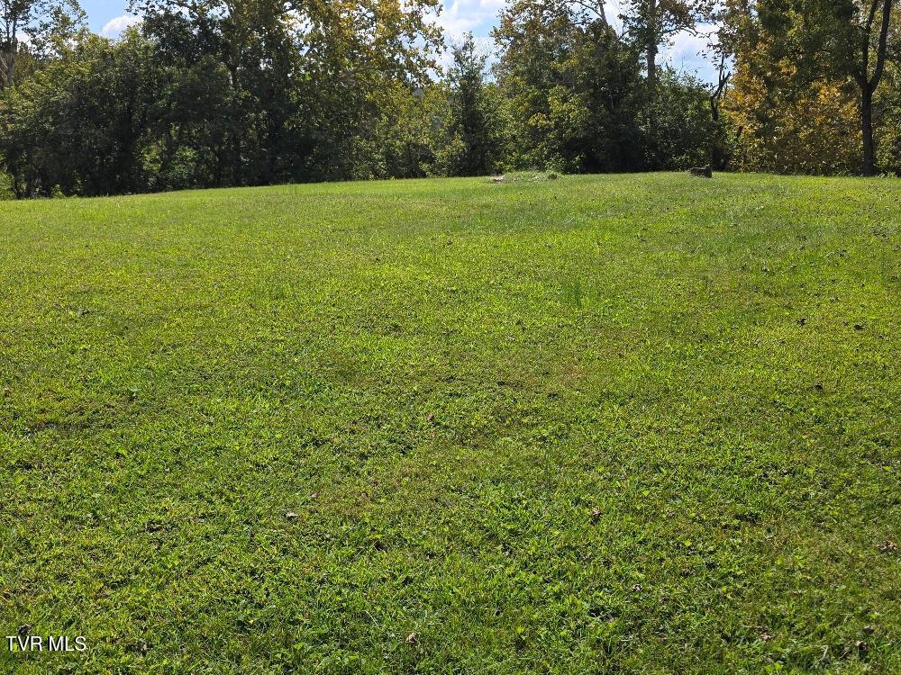 102 Clicktown Road Church Hill, TN 37642 - Photo 16 of 20 clicktown back yard