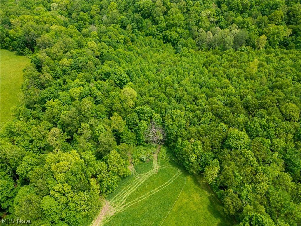 407 County Road Millersburg, OH 44654 - Photo 29 of 48