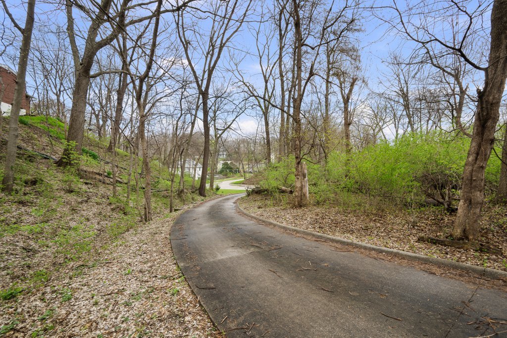 1031 27th Street Moline, IL 61265 - Photo 2 of 36 a view of a backyard with trees