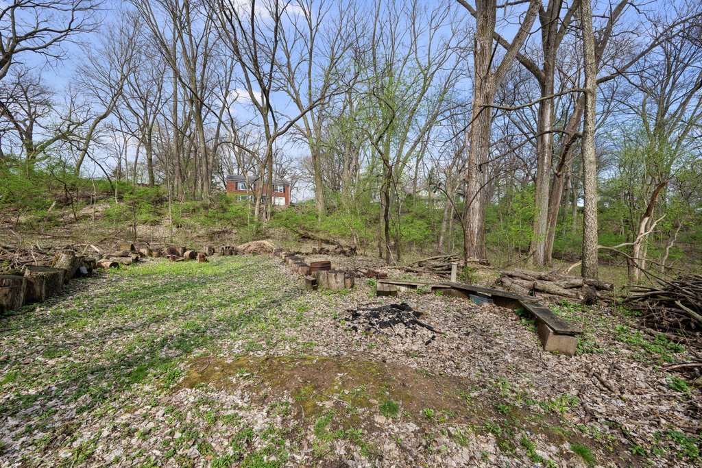1031 27th Street Moline, IL 61265 - Photo 5 of 36 a view of backyard with green space