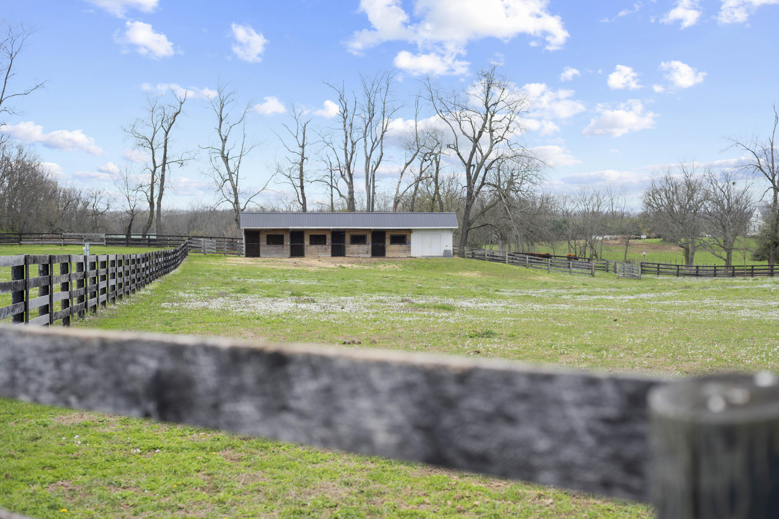 3600 Briar Hill Road Lexington, KY 40516 - Photo 83 of 102 20260330-3600-Briar-Hill-Rd-fh-00002