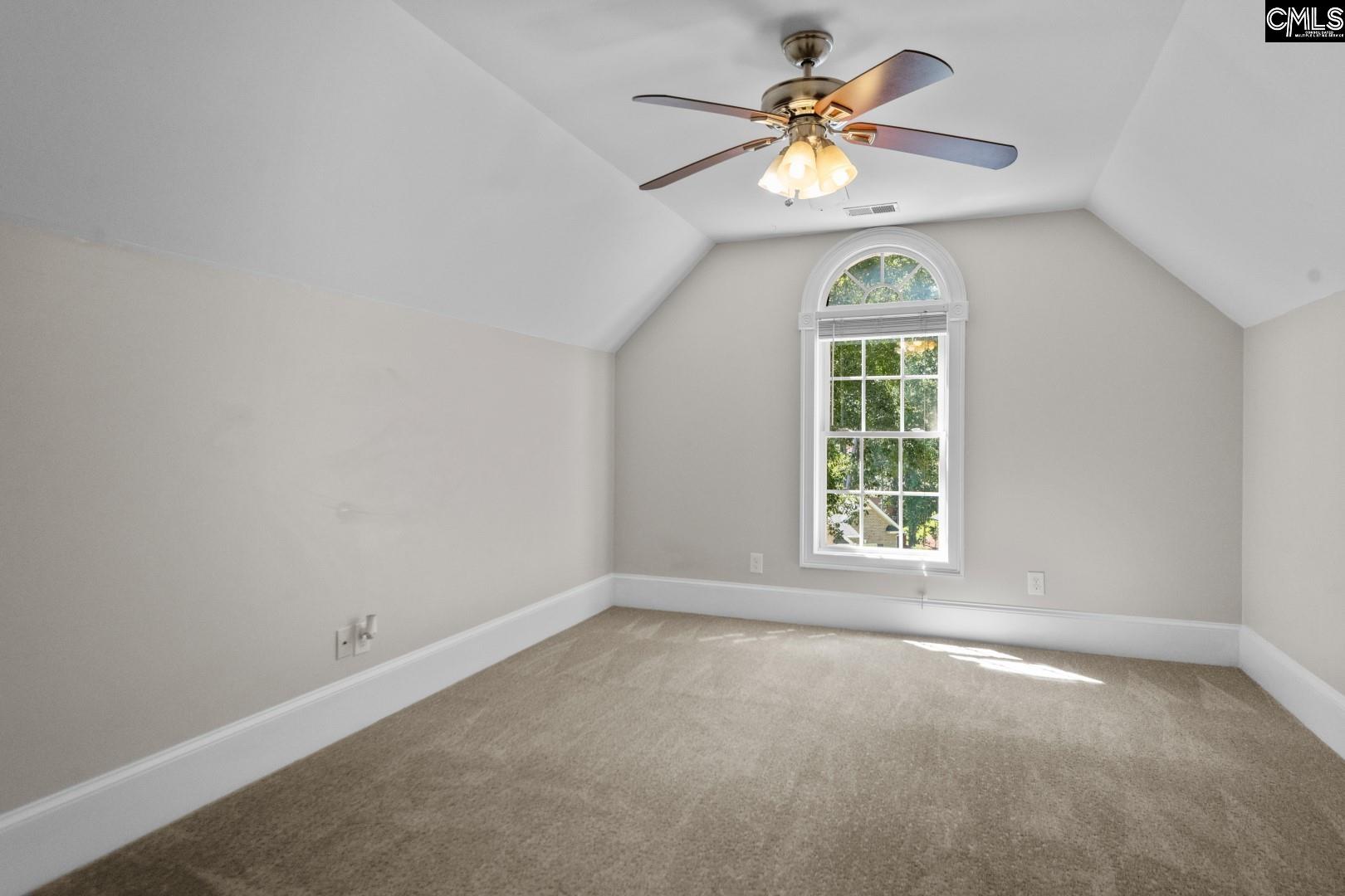115 Pointe Overlook Drive Chapin, SC 29036 - Photo 33 of 45