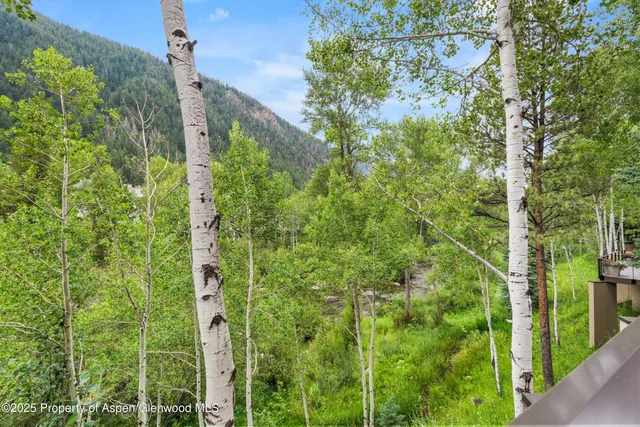 $30,000 | 1429 Crystal Lake Road, Aspen, CO 81611