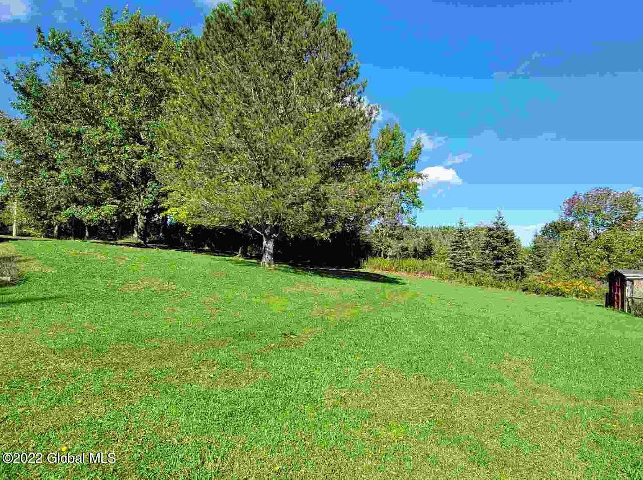 79 N Road Rensselaerville, NY 12120 - Photo 2 of 34 photo3 (3)