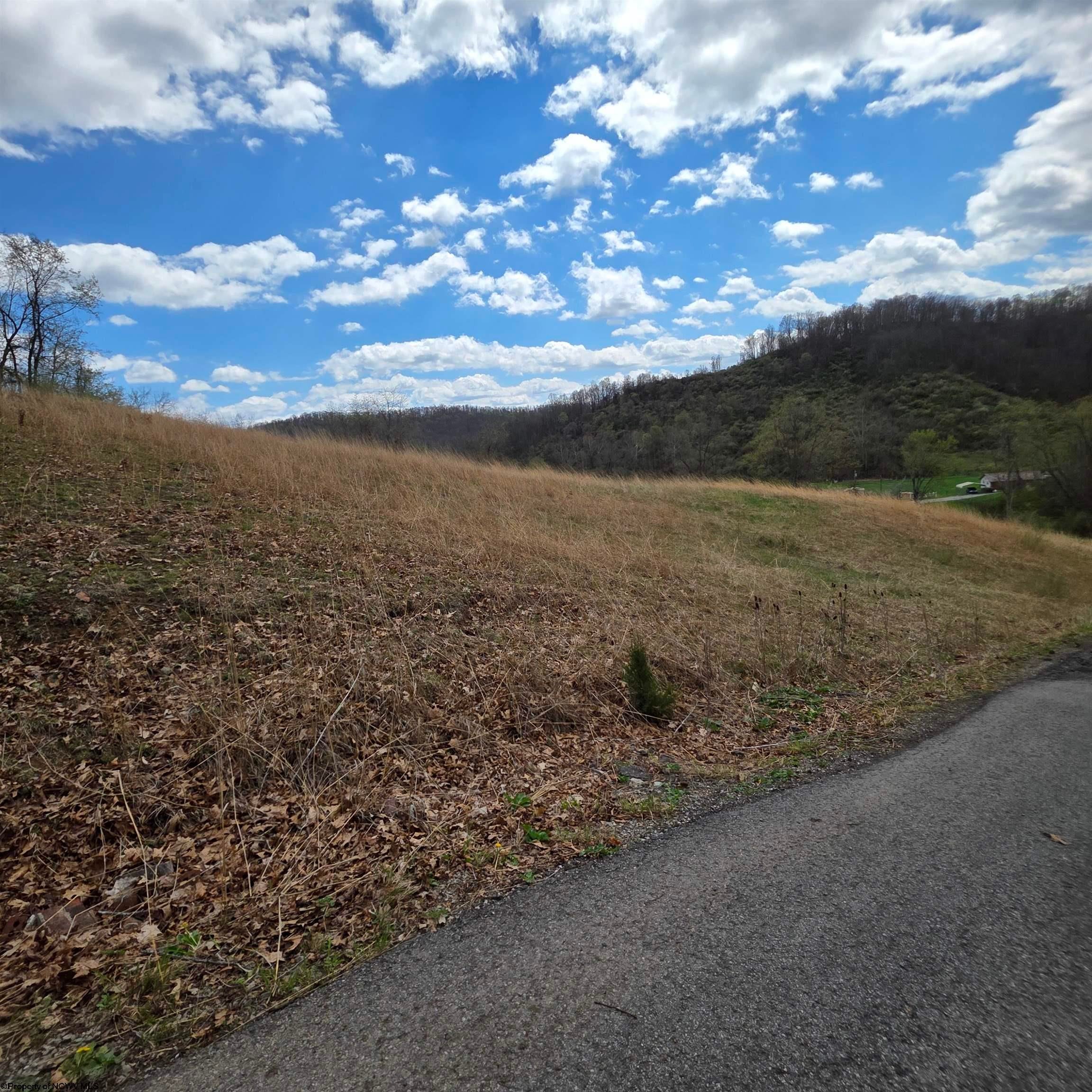 Tbd Simpson Run Road Weston, WV 26452 - Photo 2 of 19 Gallery Image 2