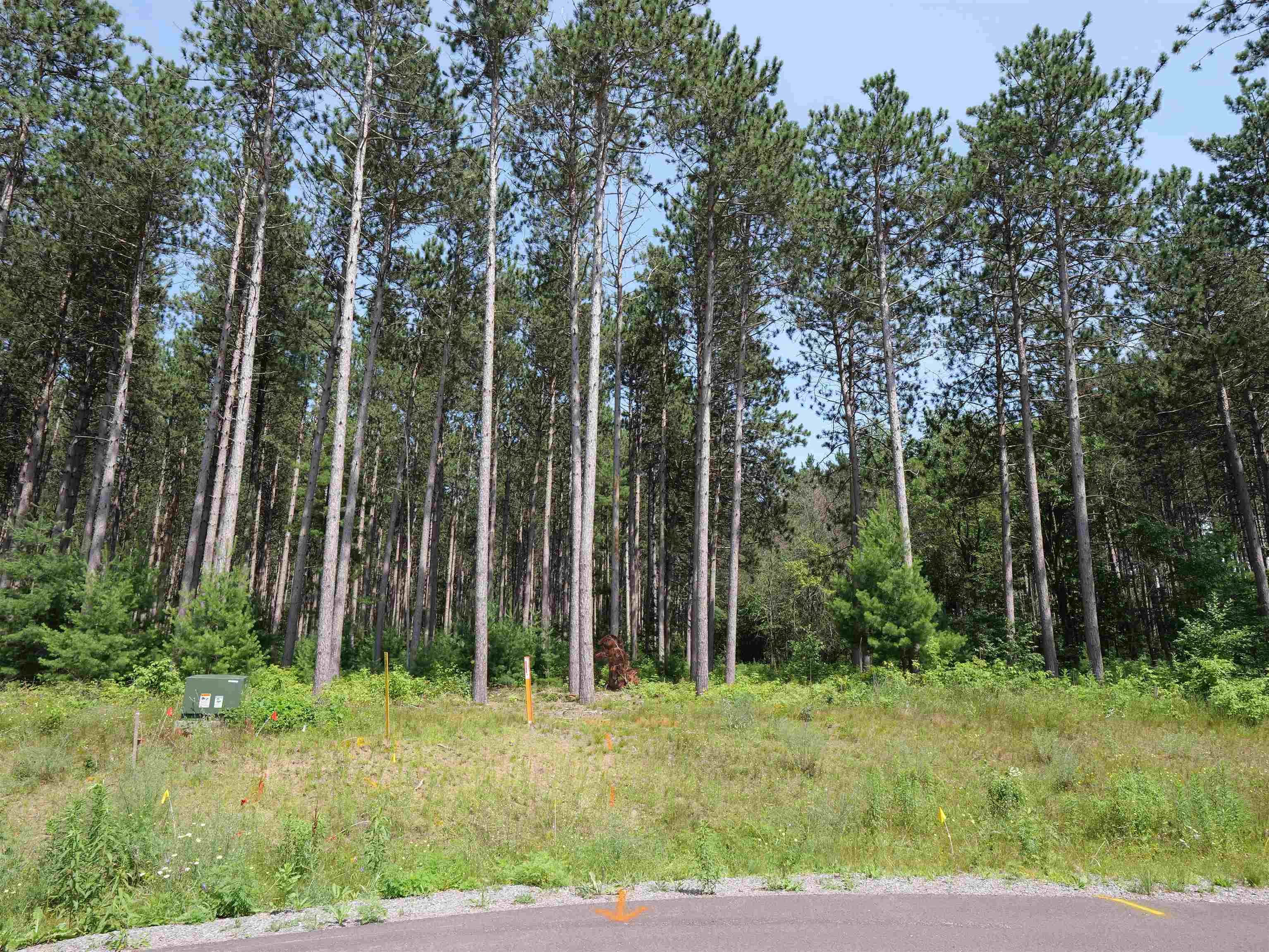 Lot 6 Two Sisters Court Stevens Point, WI 54482 - Photo 2 of 9