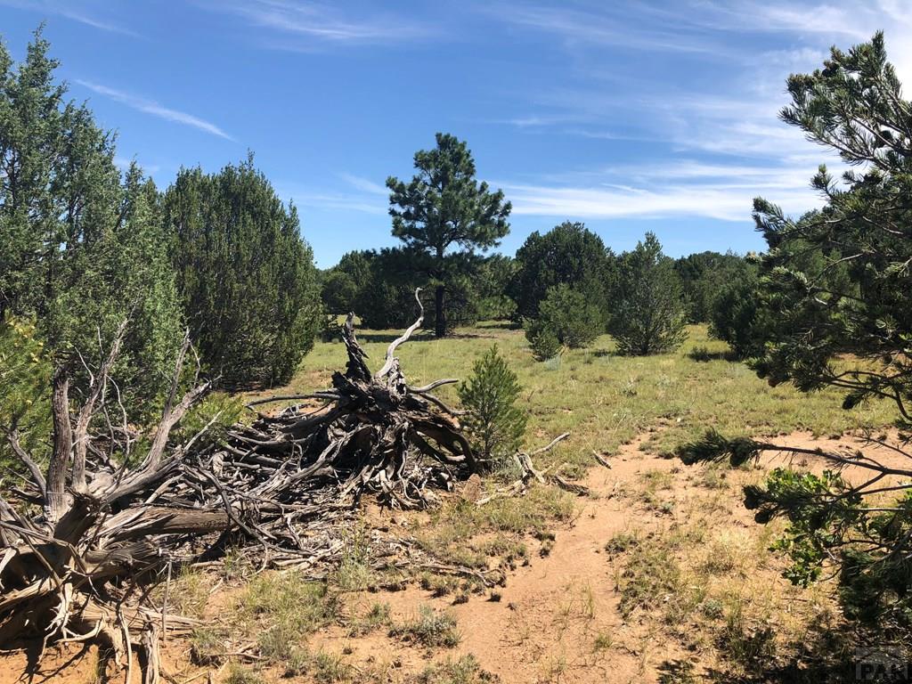 Lot 30 Silver Spur Road Walsenburg, CO 81089 - Photo 14 of 36 Gallery Image 14