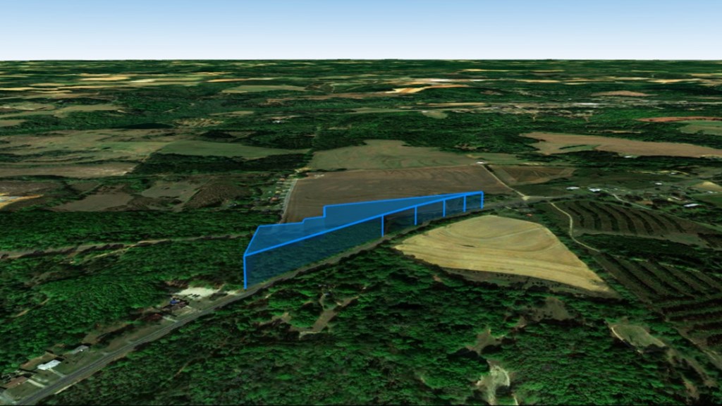 0 Co Road Abbeville, AL 36310 - Photo 9 of 18