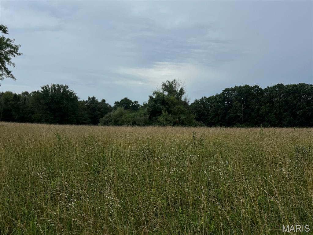 0 Blue Bird Hill Lane Foley, MO 63347 - Photo 3 of 5