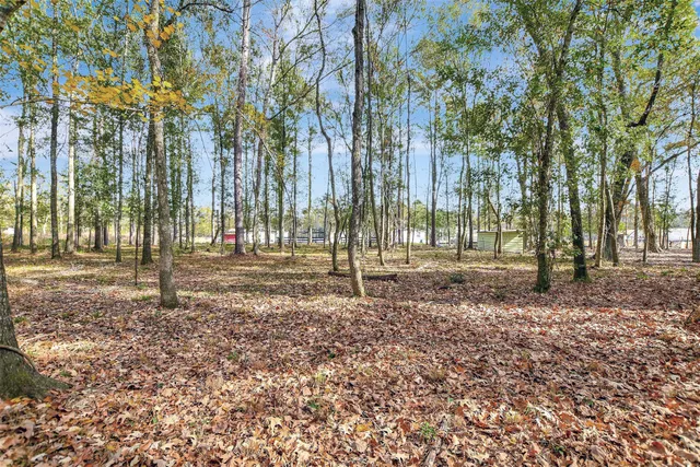 $280,000 | 15738 West Relza Drive, Splendora, TX 77372