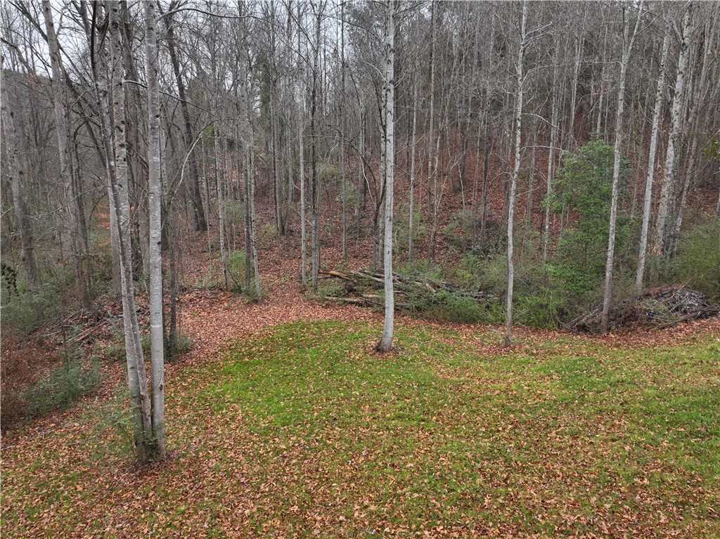 615 Generostee Church Road Starr, SC 29684 - Photo 14 of 20 This verdant expanse offers a serene woodland setting, perfect for private enjoyment.