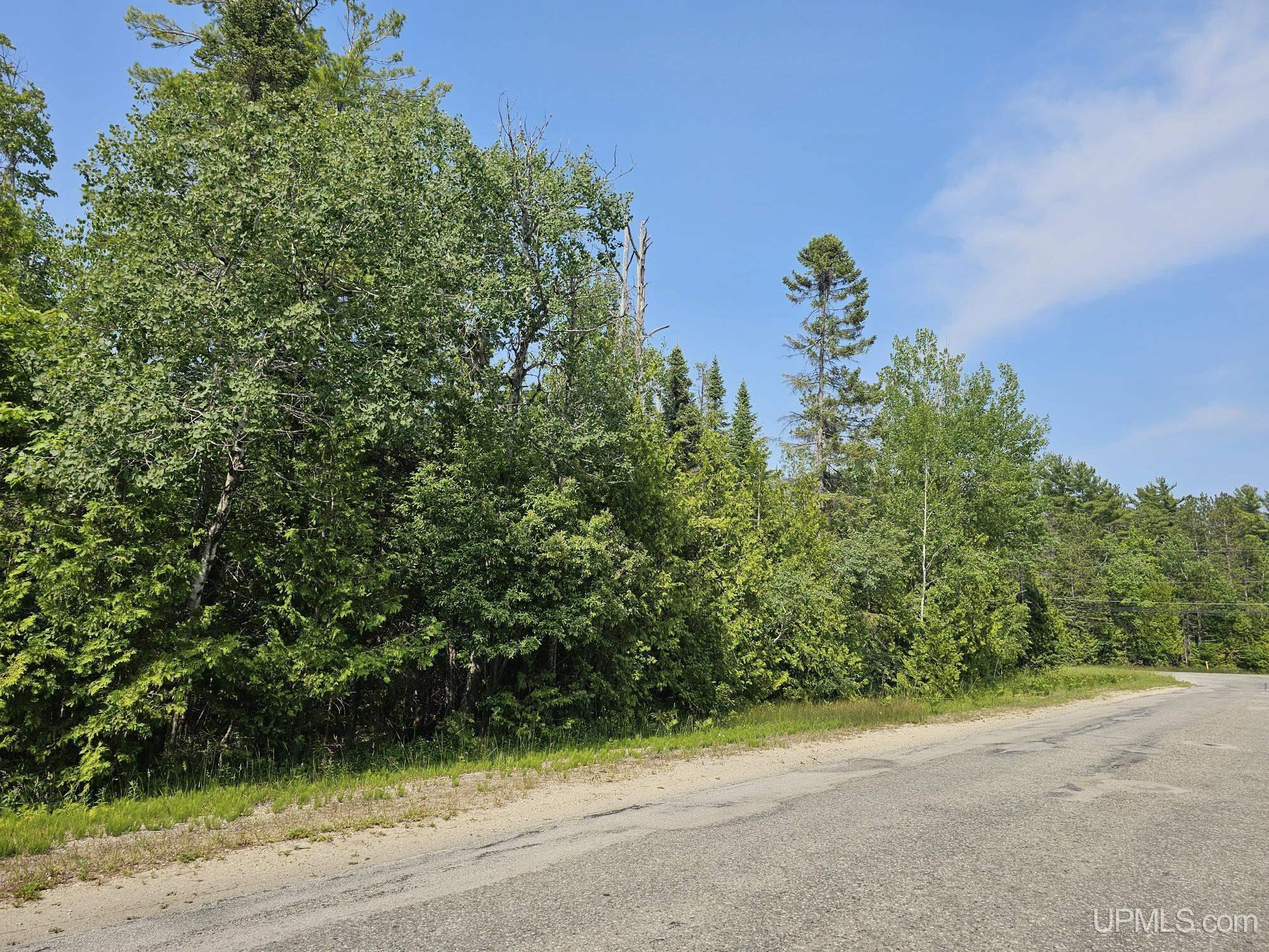 440 North County Road 440 Road Manistique, MI 49854 - Photo 1 of 8