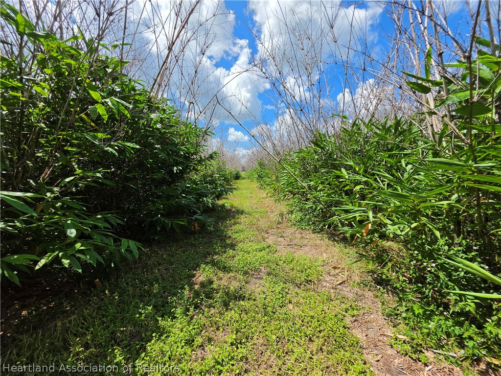 0 West St Road Wauchula, FL 33873 - Photo 20 of 24