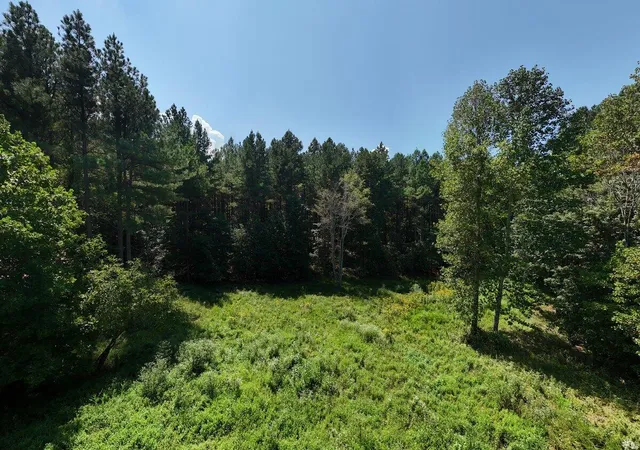 $199,000 | 0 Melody Drive, Unit 2055, Guild, TN 37340