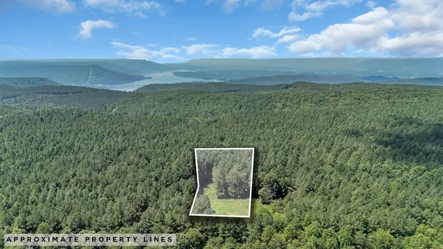 $199,000 | 0 Melody Drive, Unit 2055, Guild, TN 37340