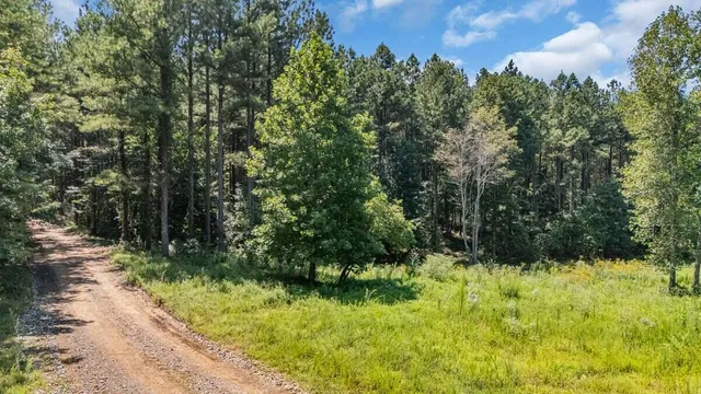 $199,000 | 0 Melody Drive, Unit 2055, Guild, TN 37340