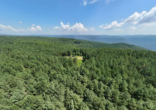 $199,000 | 0 Melody Drive, Unit 2055, Guild, TN 37340