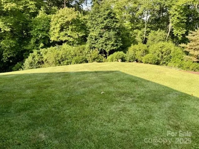 a view of yard with green space