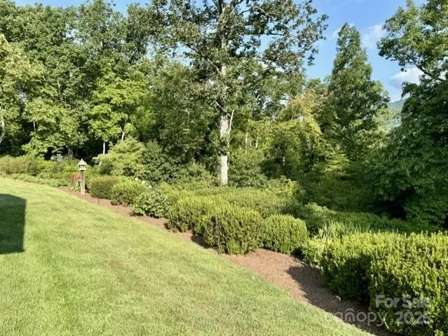 a view of a garden with plants