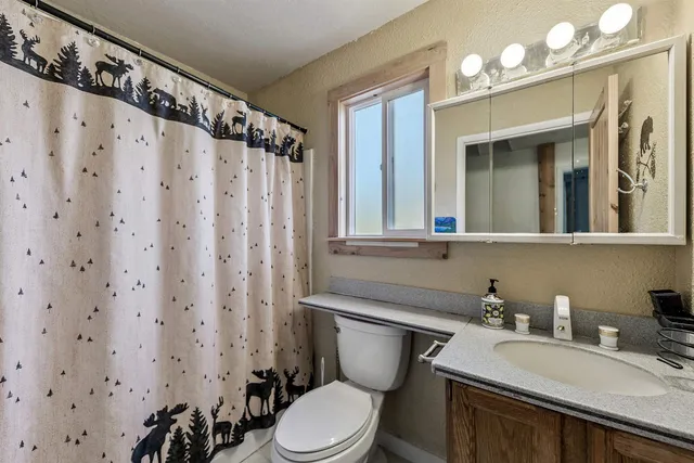 a bathroom with a sink a toilet a mirror a vanity and shower