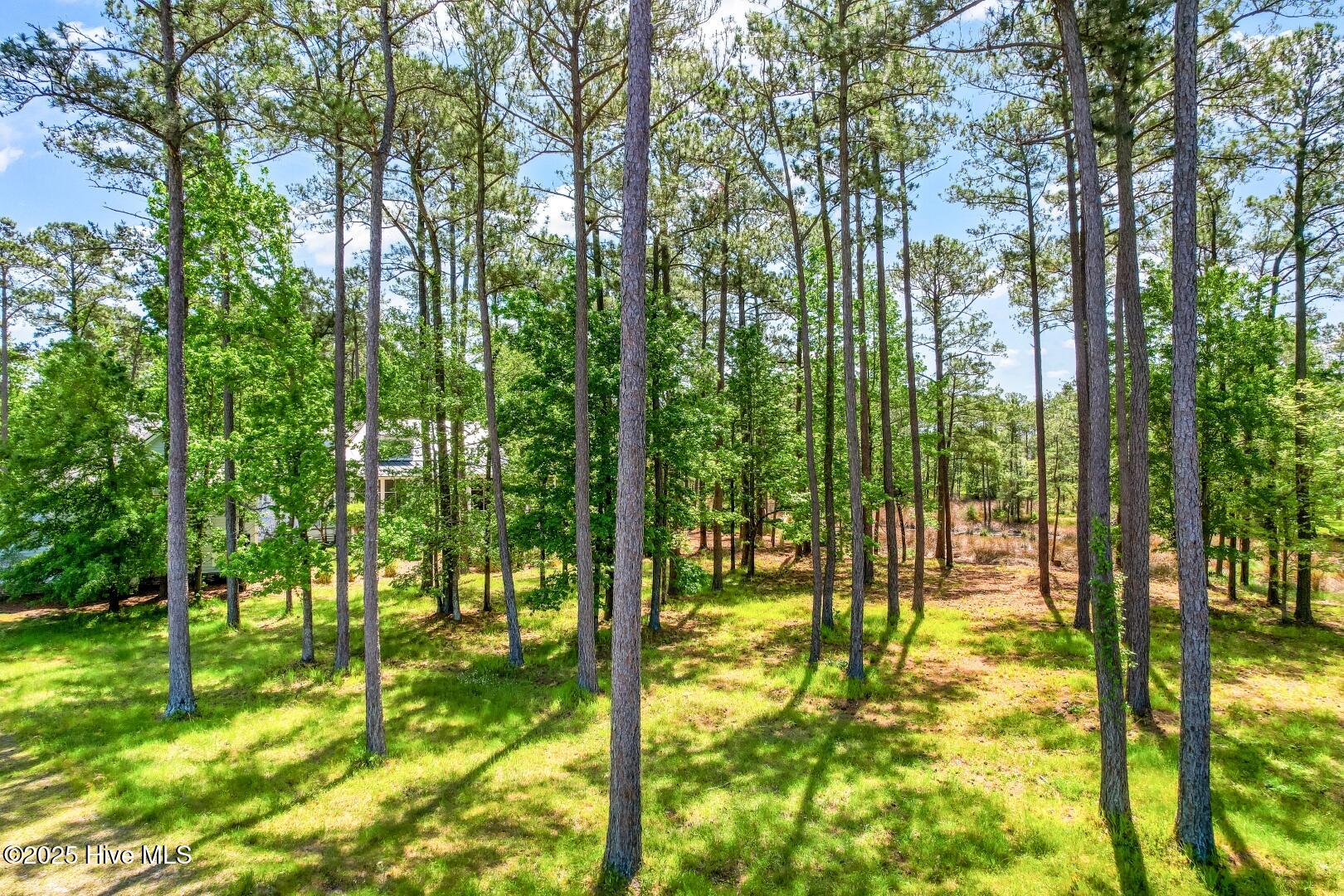 72 Oyster Point Road Oriental, NC 28571 - Photo 9 of 55 72 Oyster Point Road 38 (13)