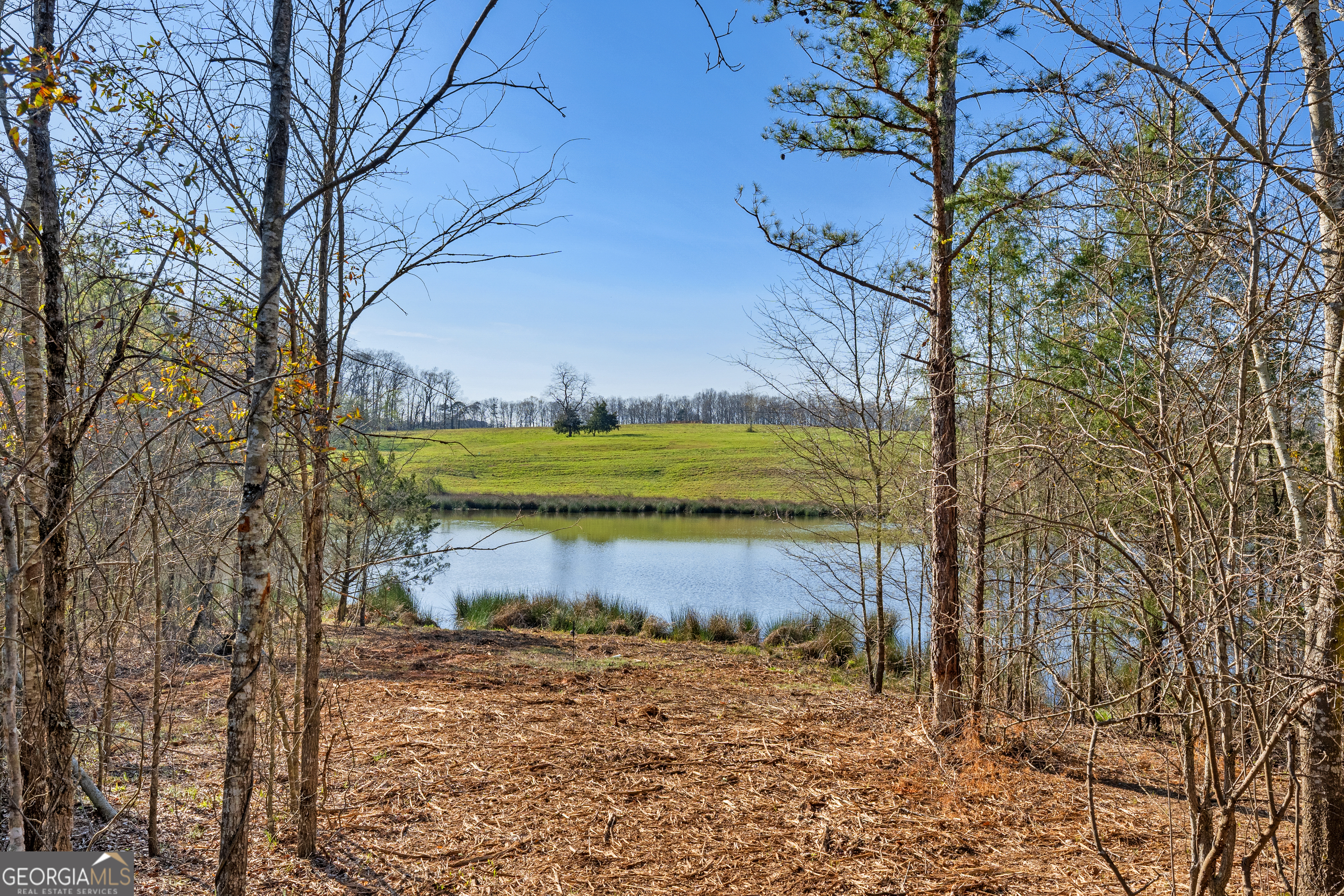 10 Ridgeview Point Hartwell, GA 30643 - Photo 2 of 19 Gallery Image 2