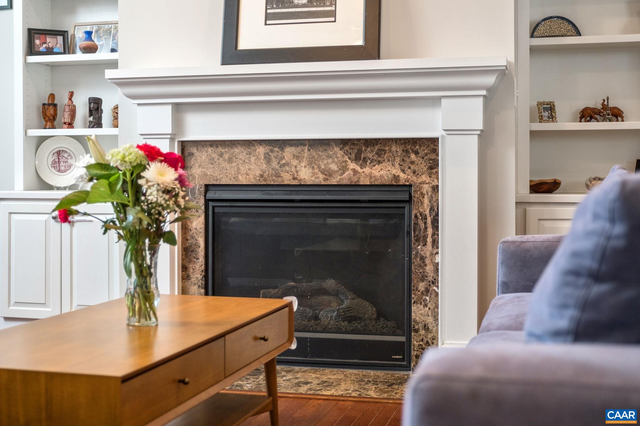 2138 Avinity Loop Charlottesville, VA 22902 - Photo 5 of 49 a living room with furniture and a fireplace