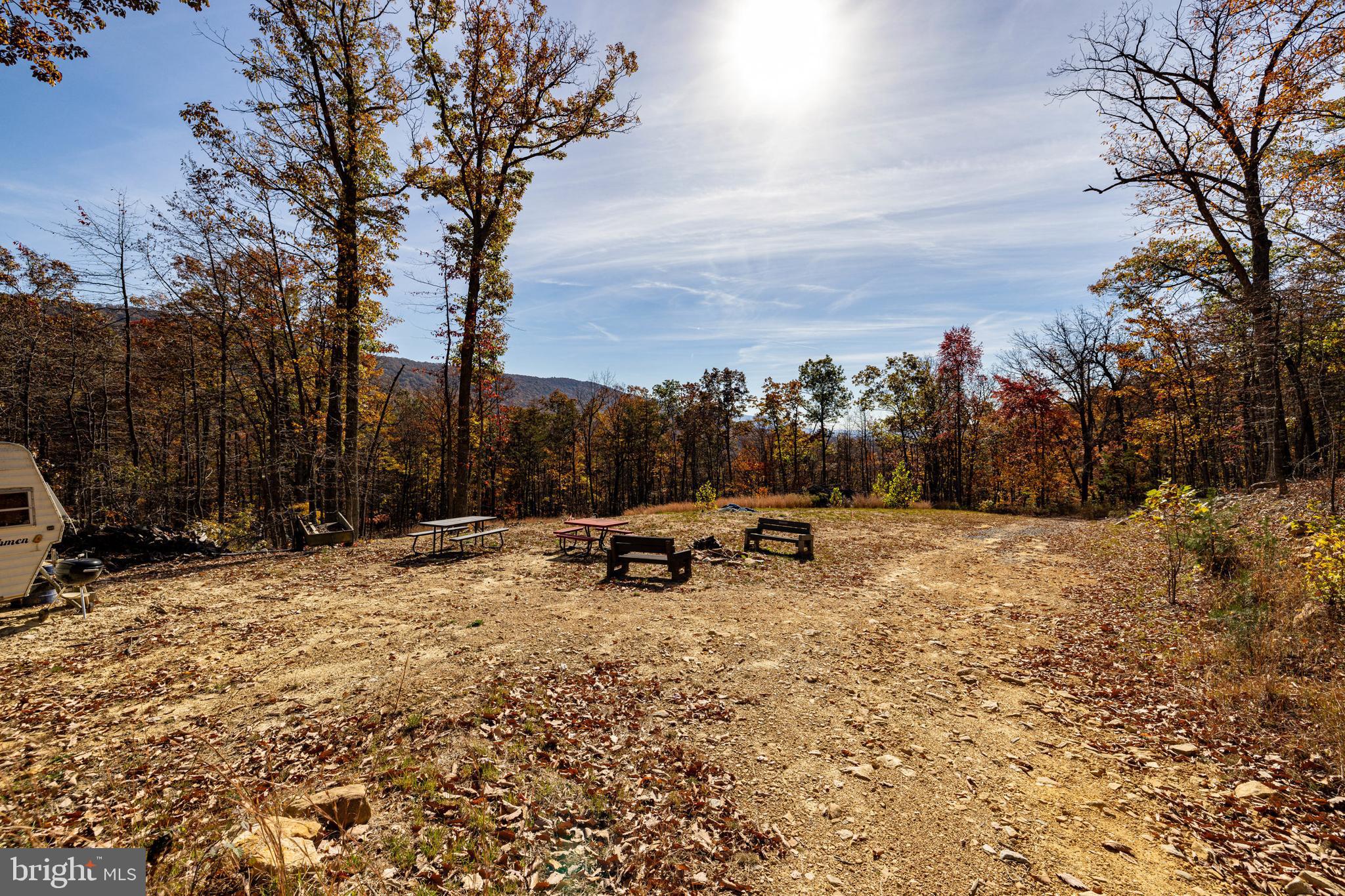 0 Moreland Gap Road Mount Jackson, VA 22842 - Photo 11 of 37
