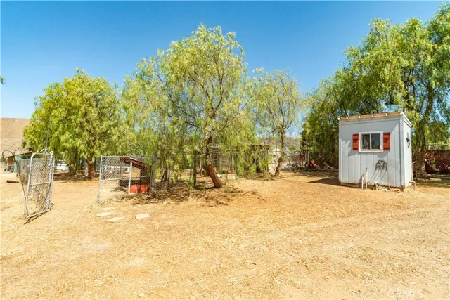 a row of trees and snow on the side of the road