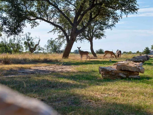 $47,400 | Lot 115 Balleycastle Drive, Graford, TX 76449