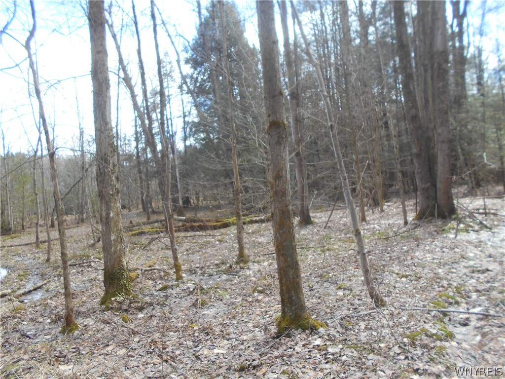 0 Genesee Road Lawtons, NY 14091 - Photo 29 of 34