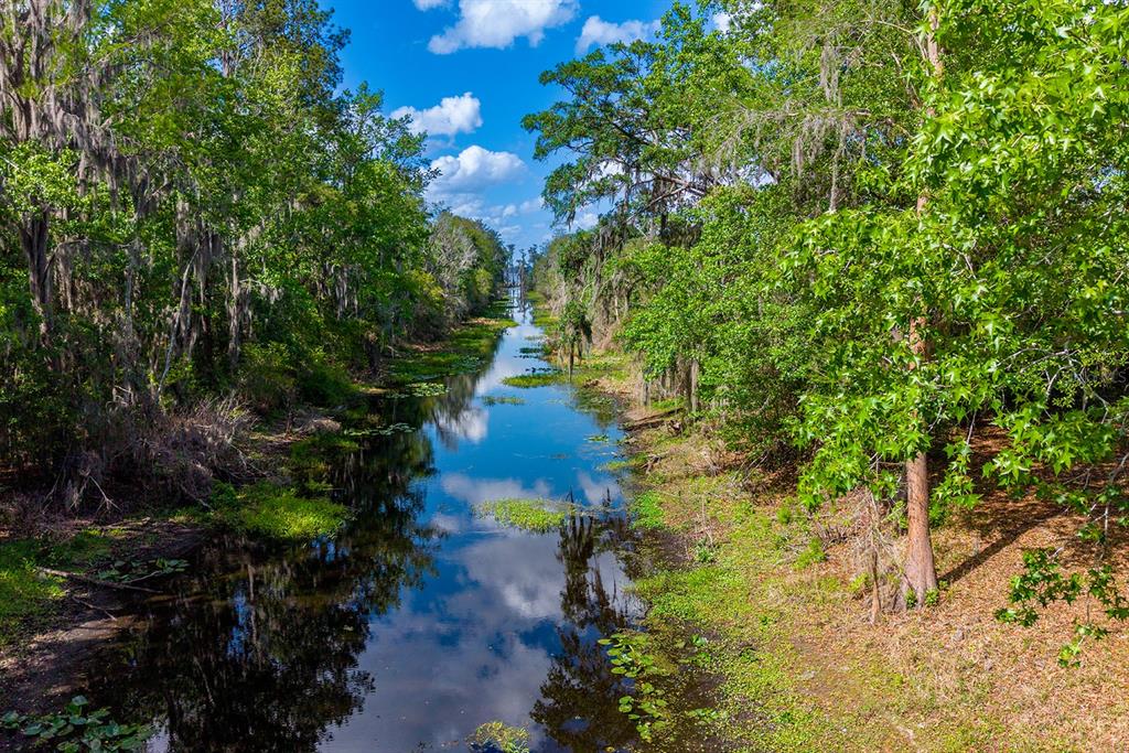 6308 Island Road Melrose, FL 32666 - Photo 24 of 28