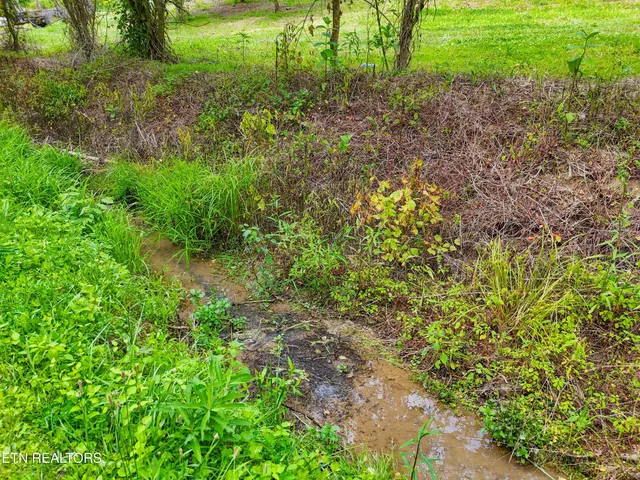 $130,000 | 131 Kyle Valley Road, Eidson, TN 37731