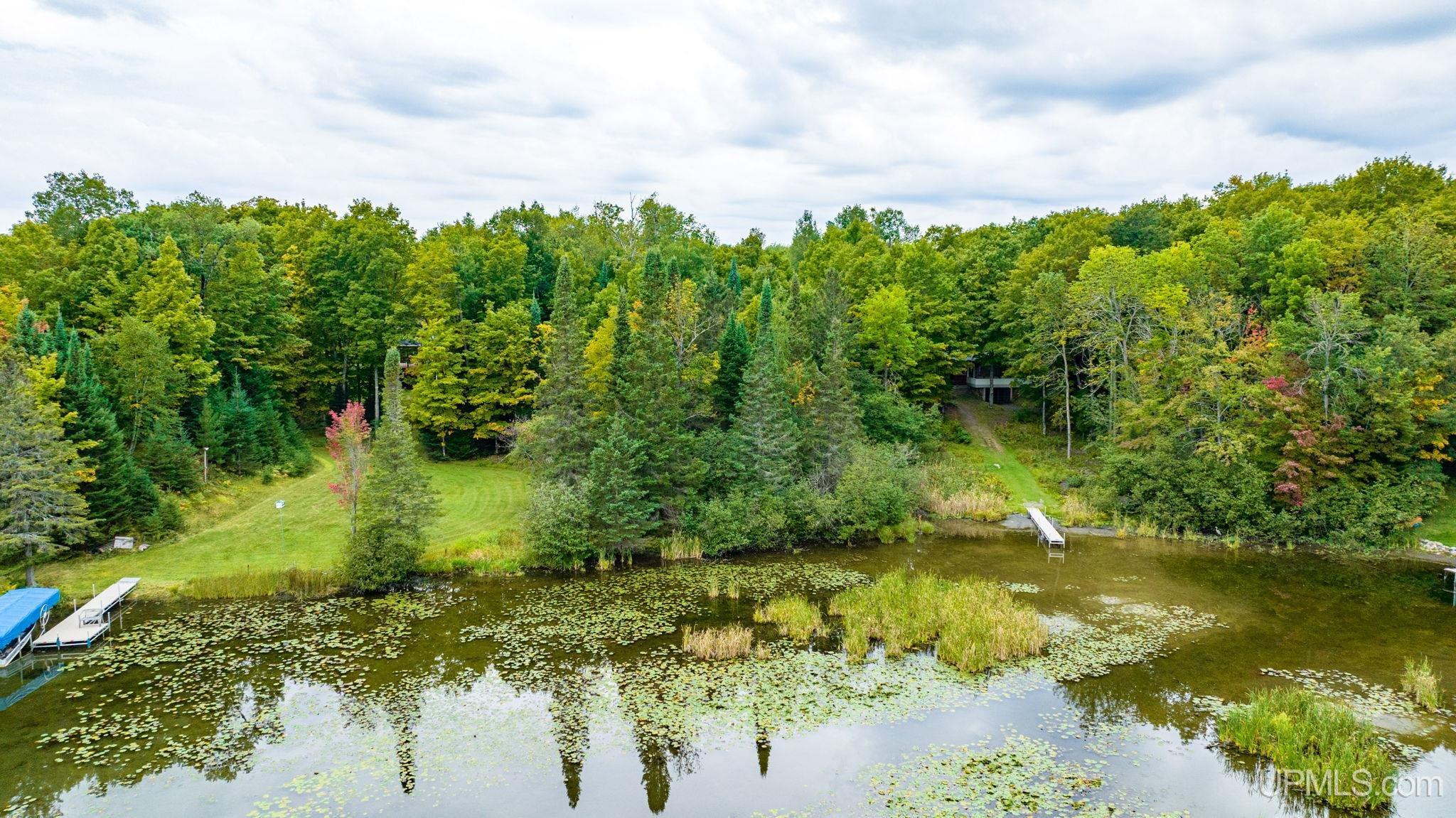 Tbd Hagerman Lake Road Iron River, MI 49935 - Photo 11 of 15