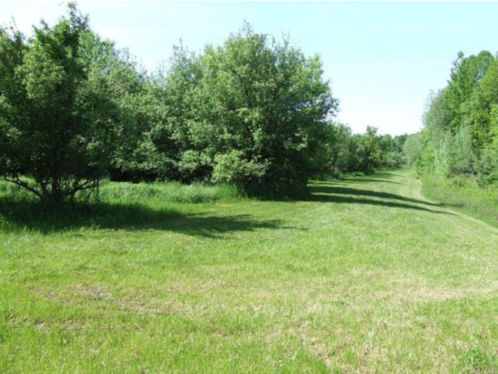 Lot 2 Parkhill Road Cornwall, VT 05753 - Photo 1 of 11