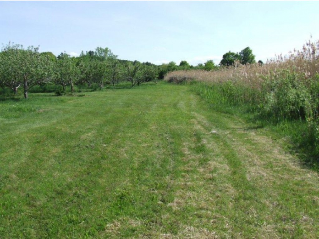 Lot 2 Parkhill Road Cornwall, VT 05753 - Photo 11 of 11